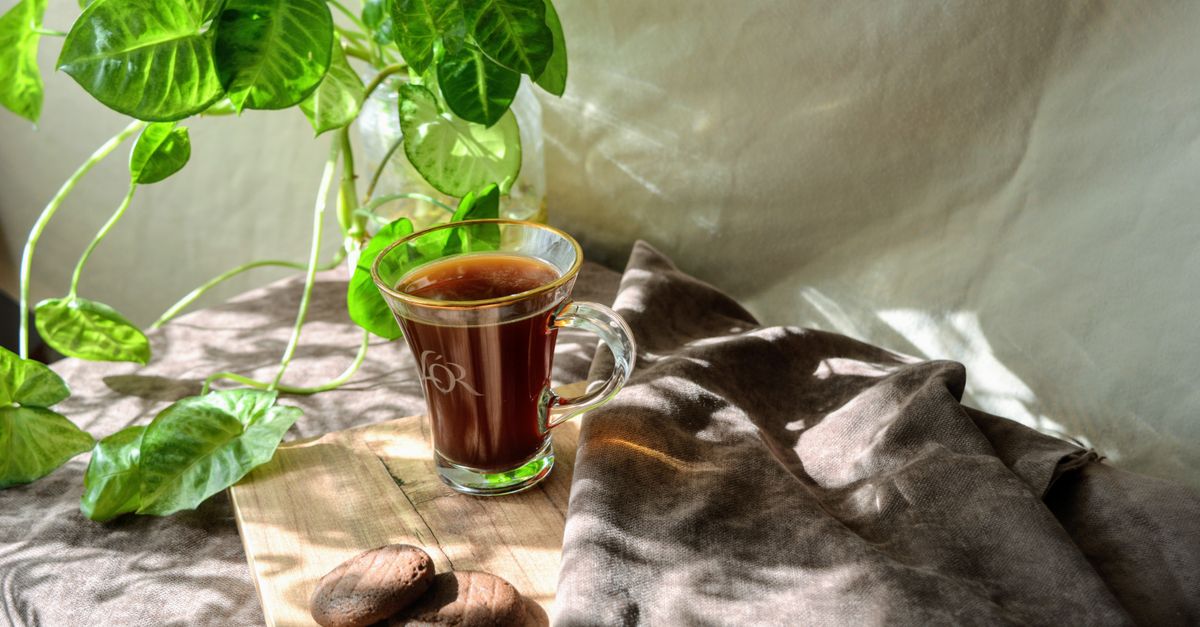 تصویر مرتبط با مقاله فرو بردن بیسکویت در چای داغ یا گاز زدن خشک و تعقیب با جرعه؟ دوئل ژئوتکنیک عصرانه